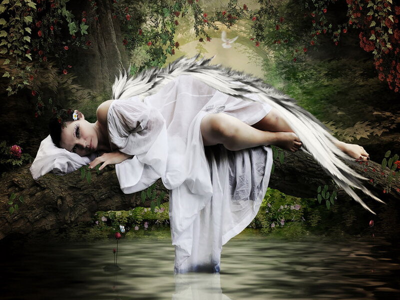 Angel Sleeping on Branch