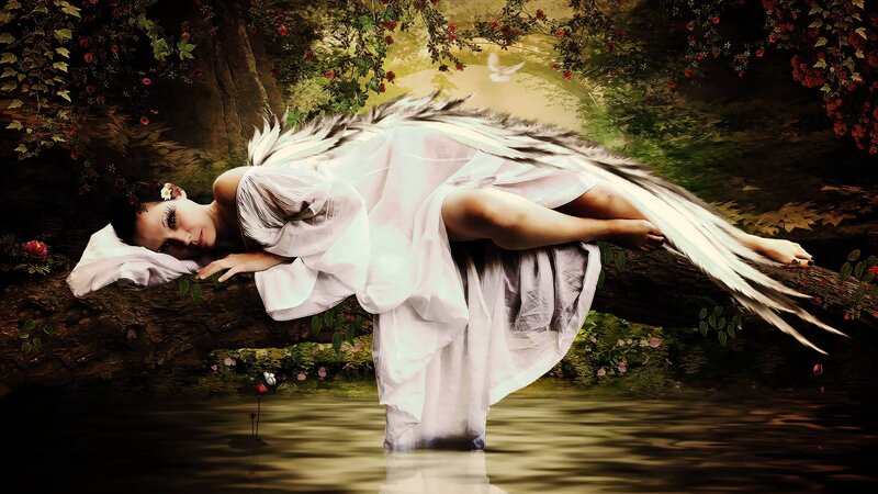 Angel Sleeping on Branch — White