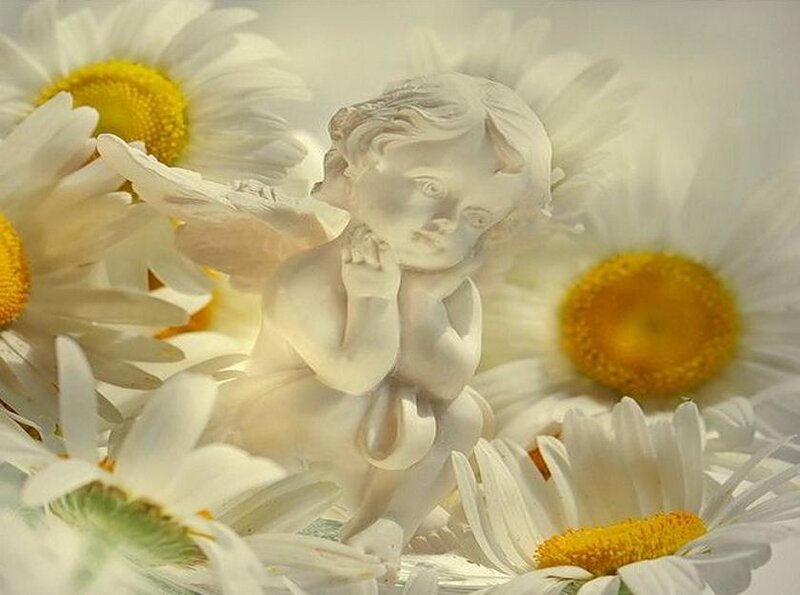 Angel Statue Among Daisies