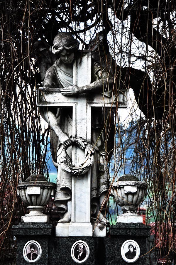 Angel statue at cemetery