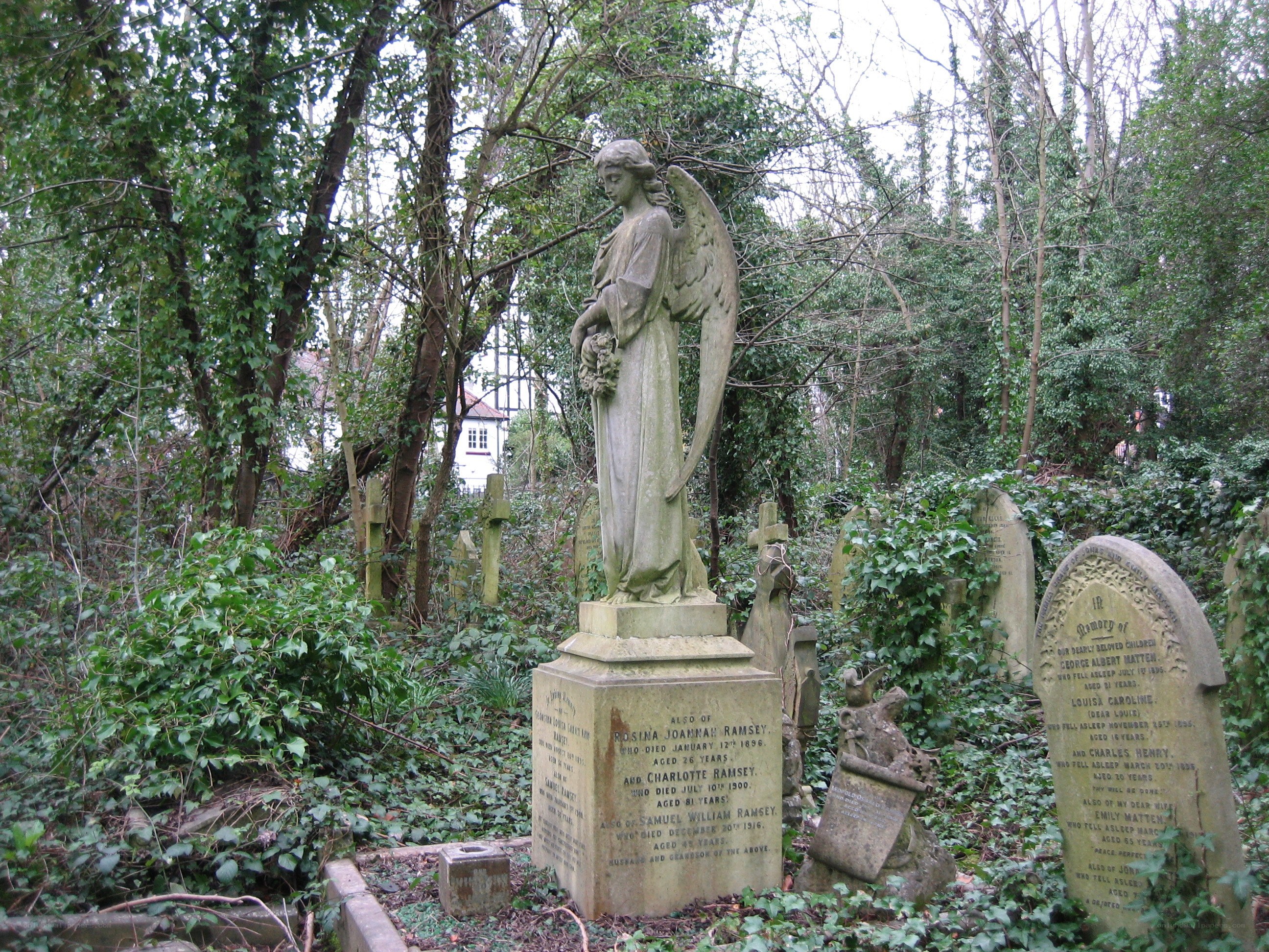 Angel statue in a cemetery