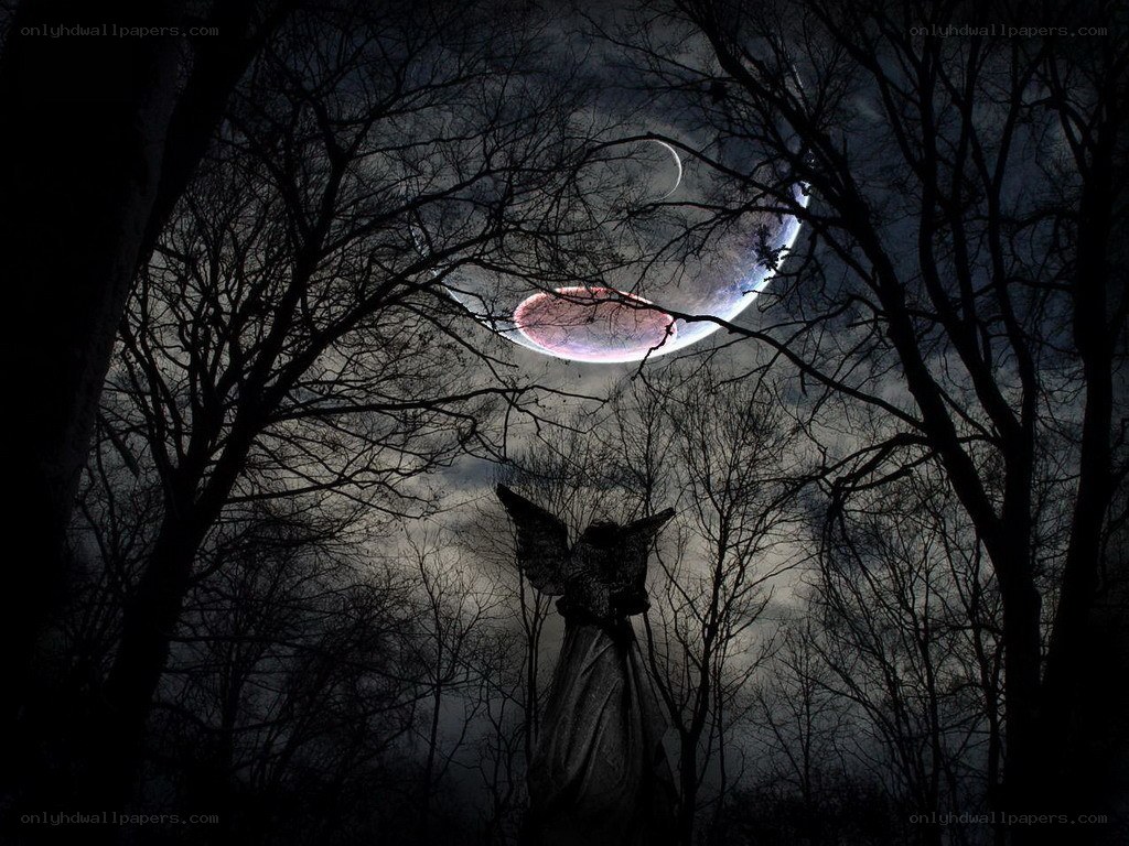 Angel statue in a dark forest