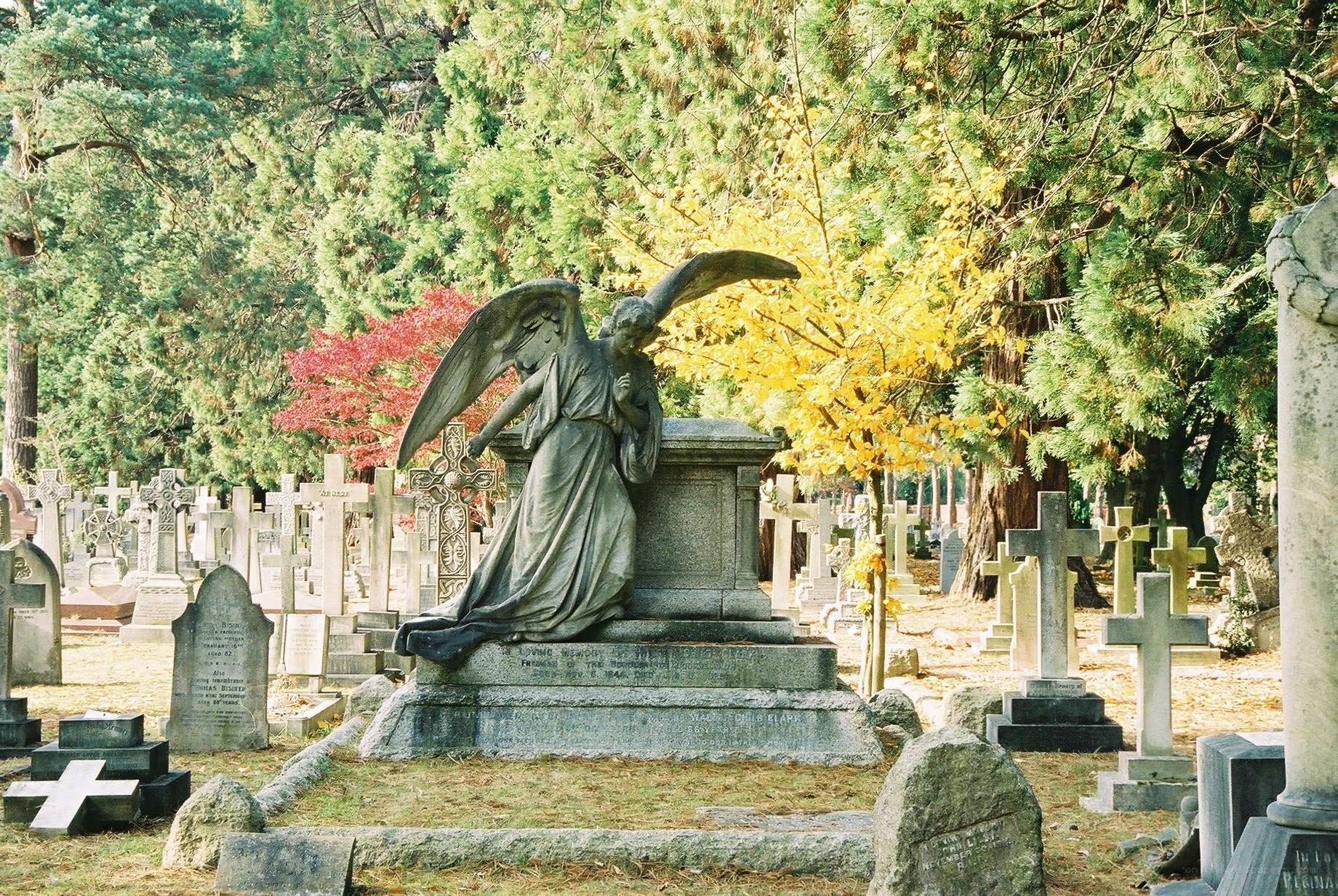 Angel statue in cemetery