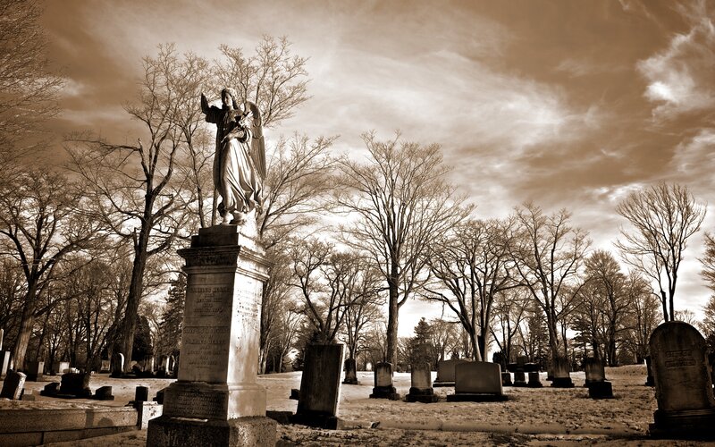 Angel Statue in Cemetery — Brown