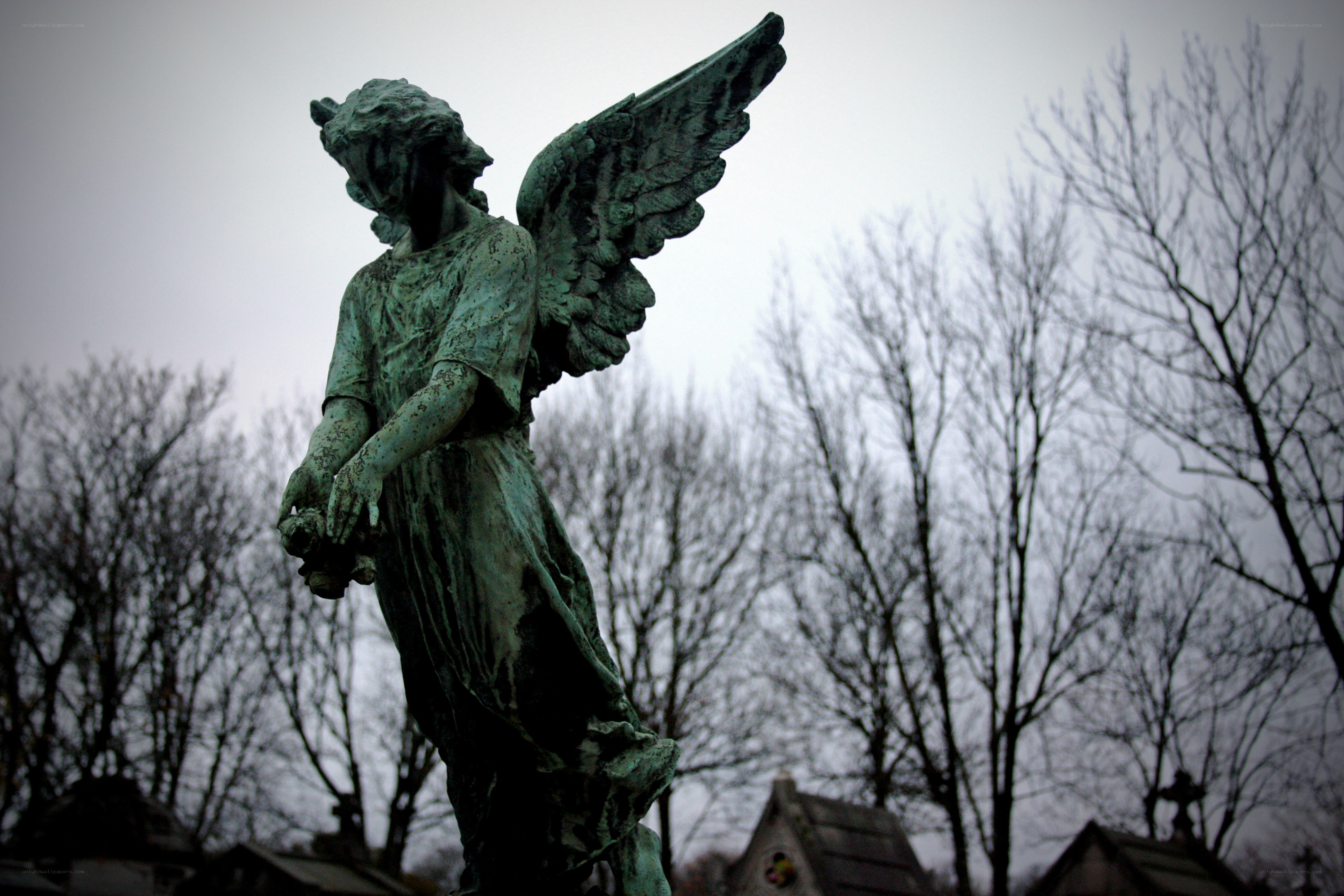 Angel statue in cemetery
