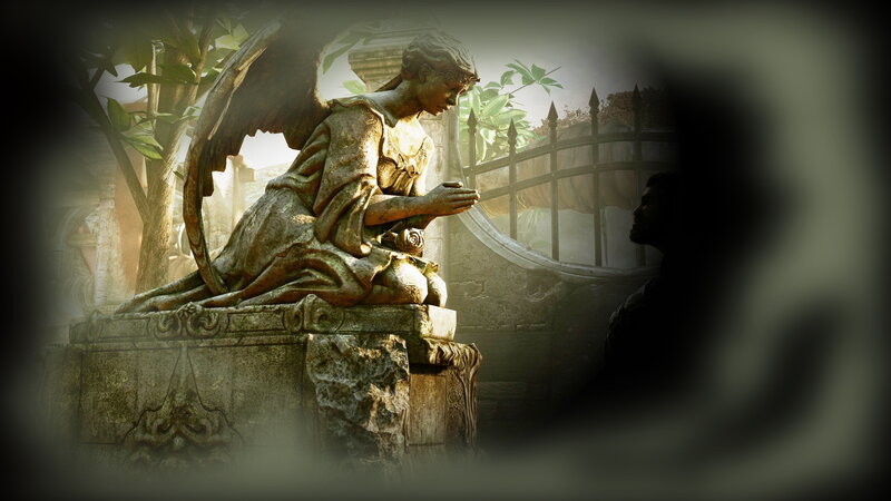 Angel Statue in Garden — Brown