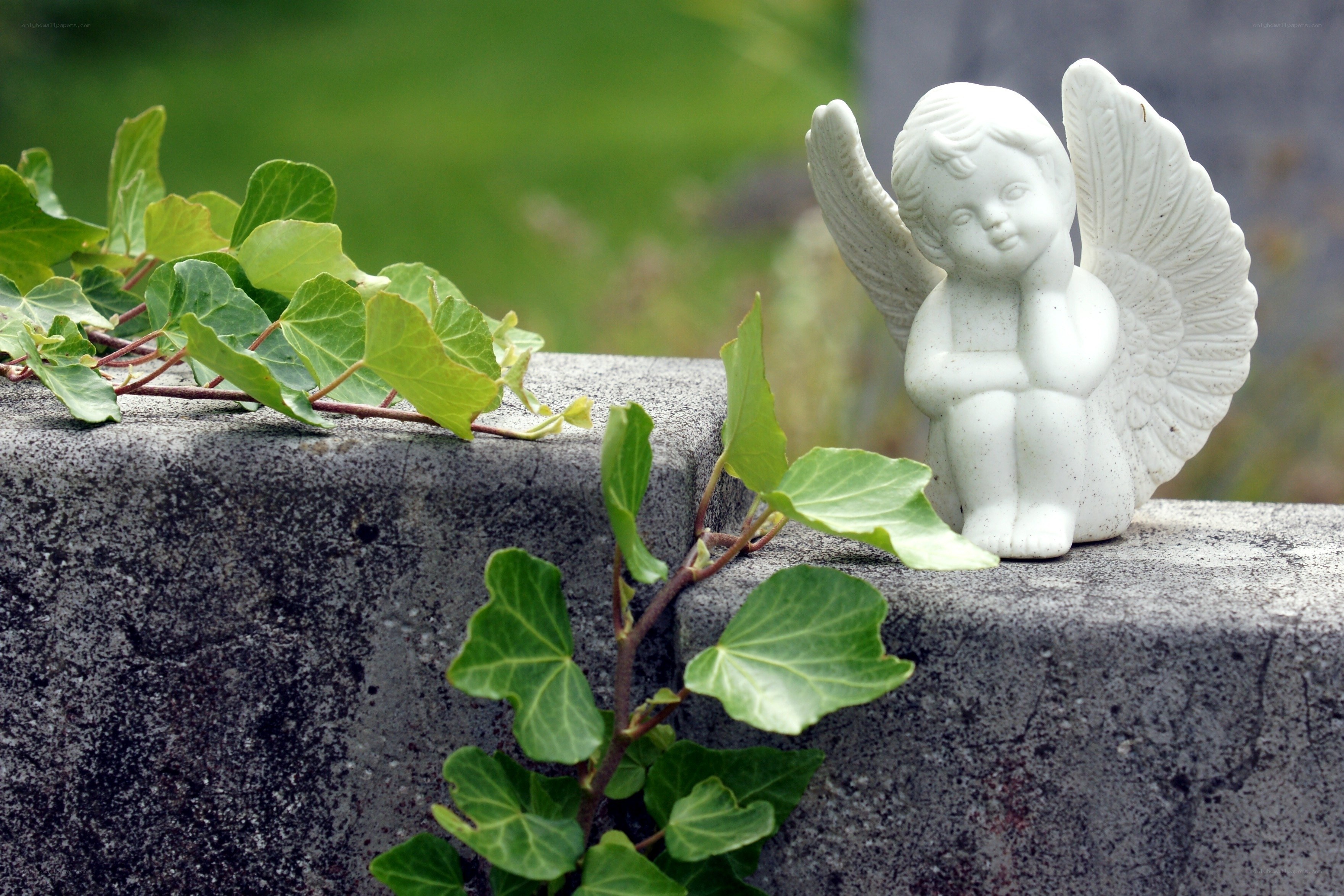Angel statue on stone wall