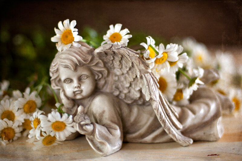 Angel Statue with Daisies