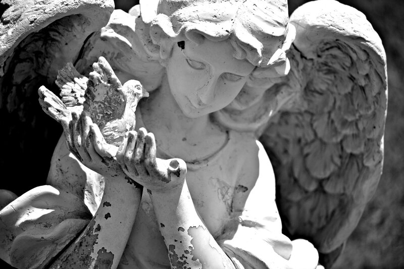 Angel statue with dove