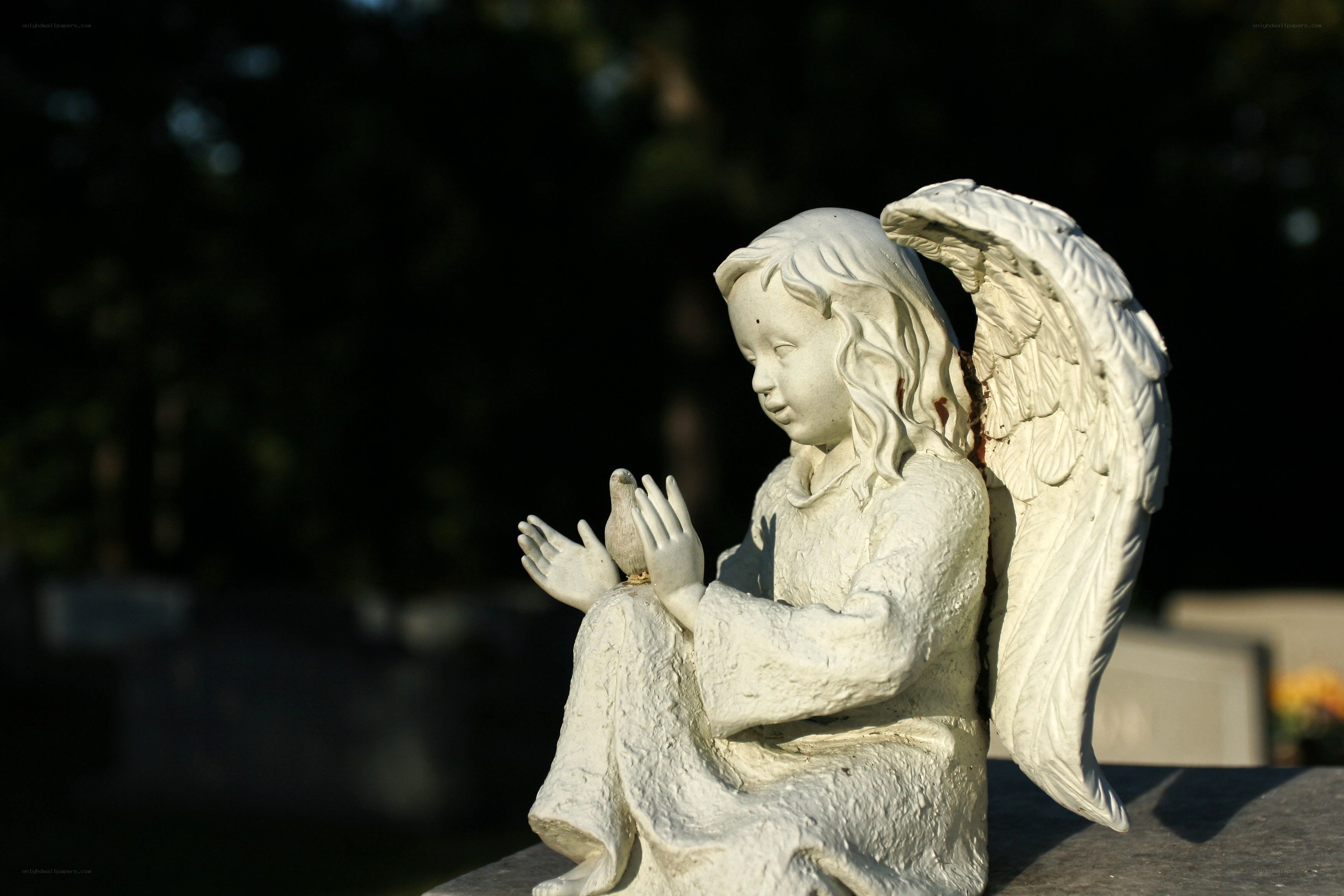 Angel statue with dove