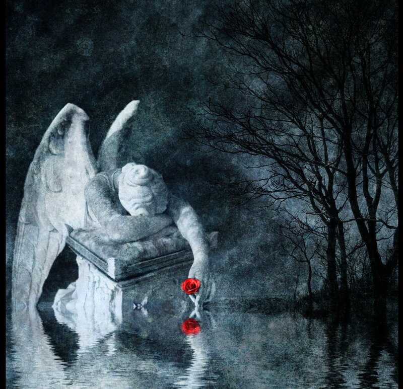 Angel statue with red rose