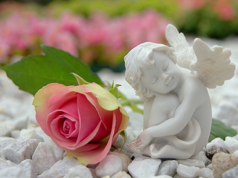 Angel Statue with Rose