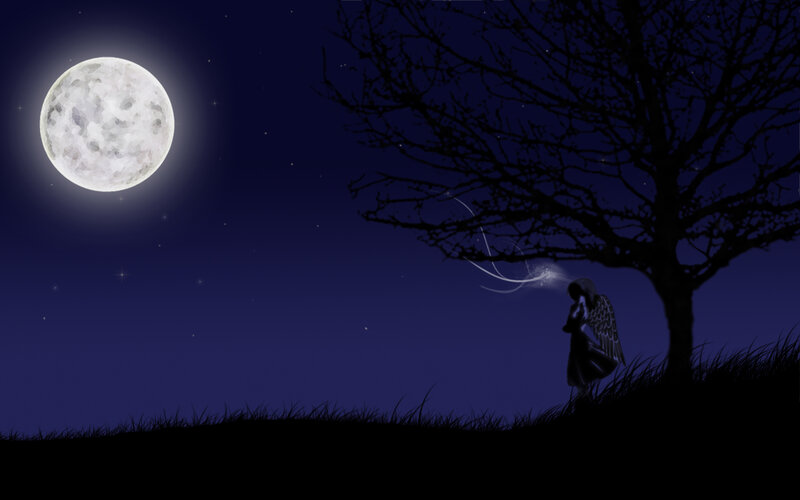 Angel under the moonlight
