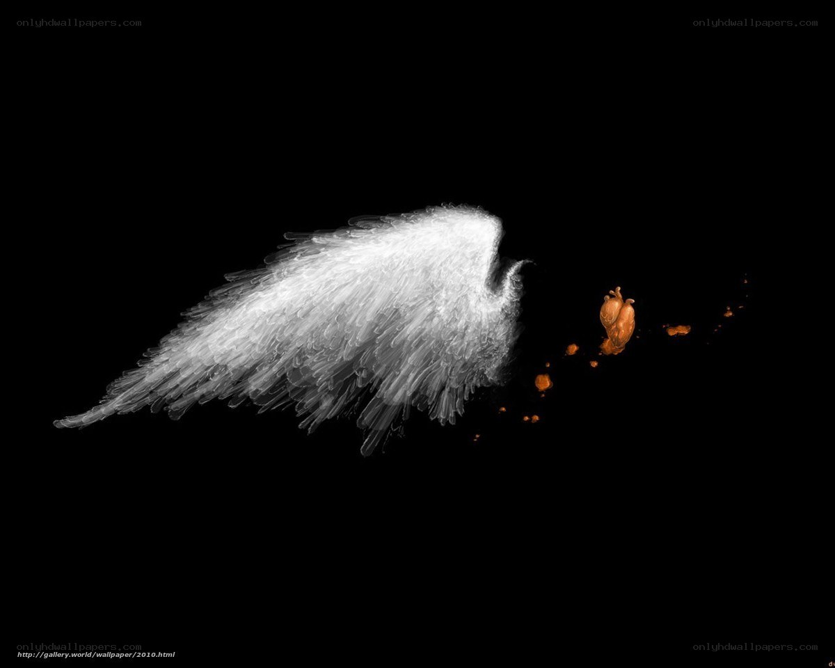 Angel wing and heart