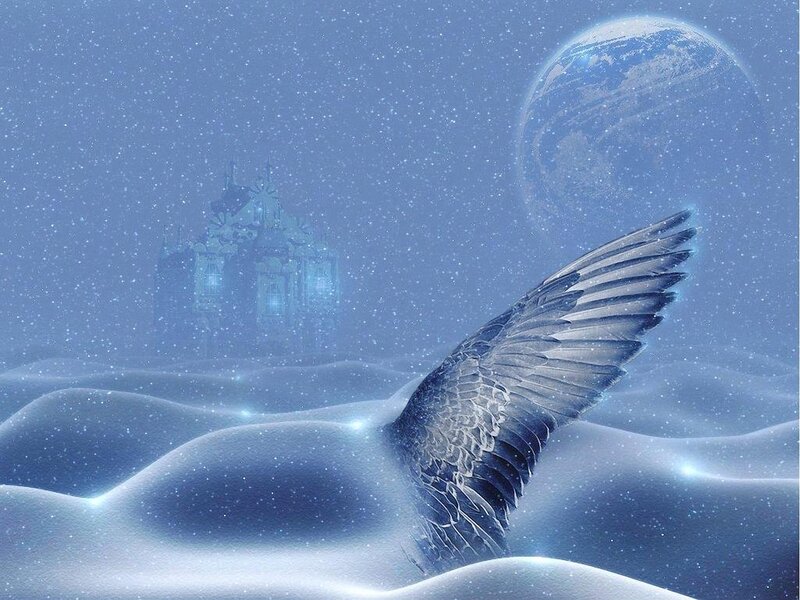Angel Wing in Snow