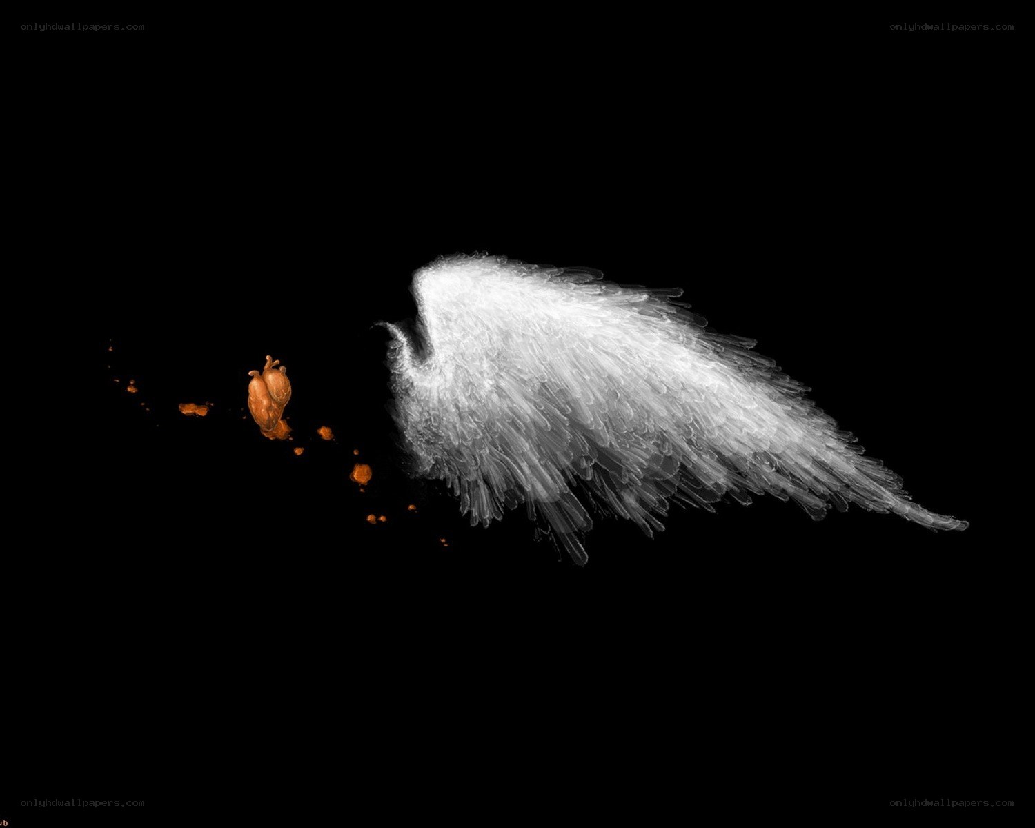 Angel wing with heart