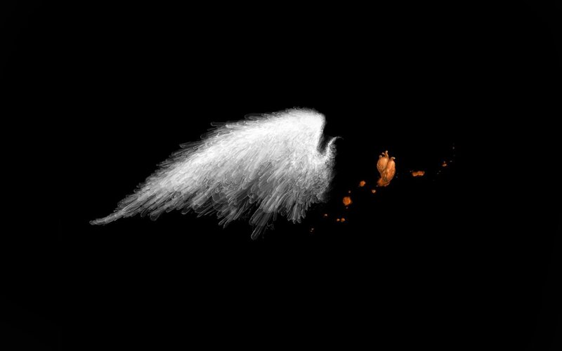 Angel wing with heart