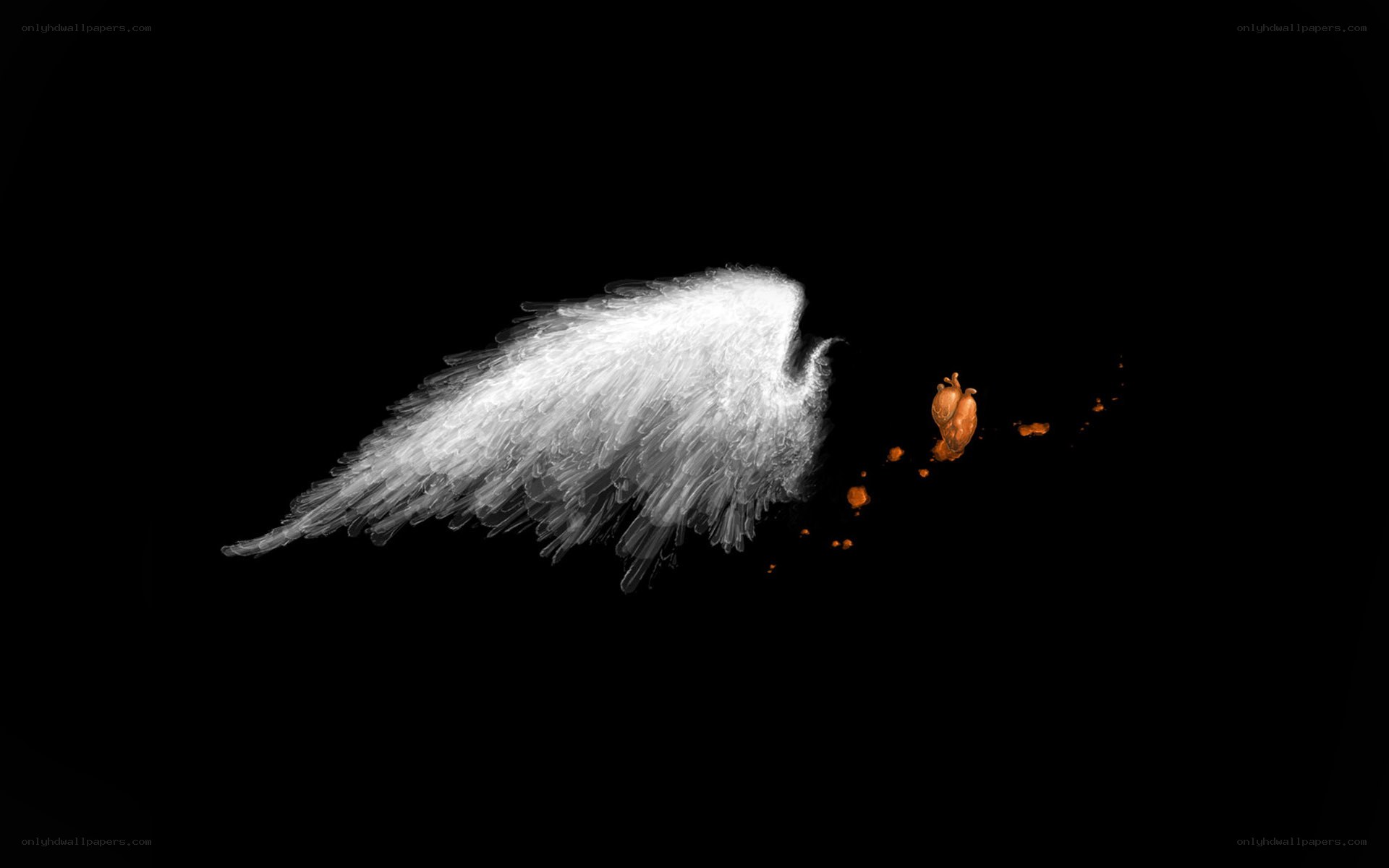 Angel wing with heart