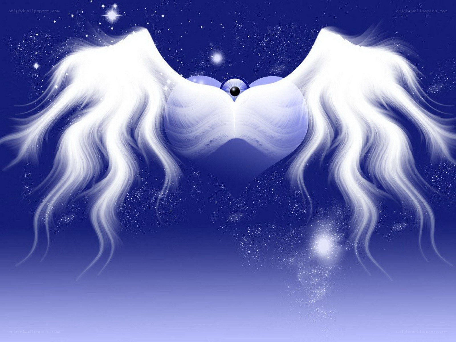 Angel wings in starry sky