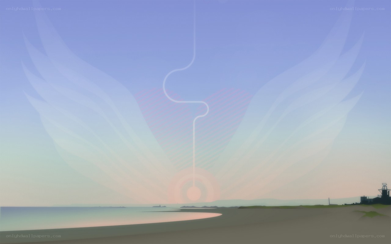 Angel wings over the sea