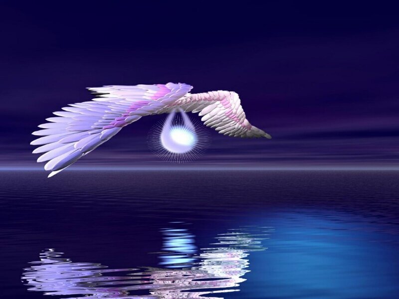 angel wings over water