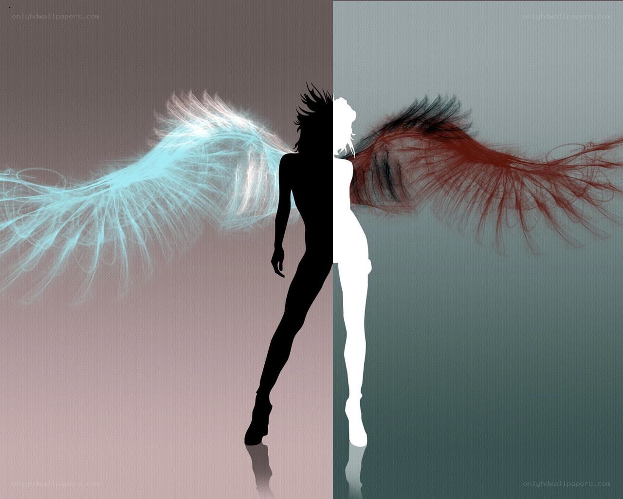 Angel wings split silhouette