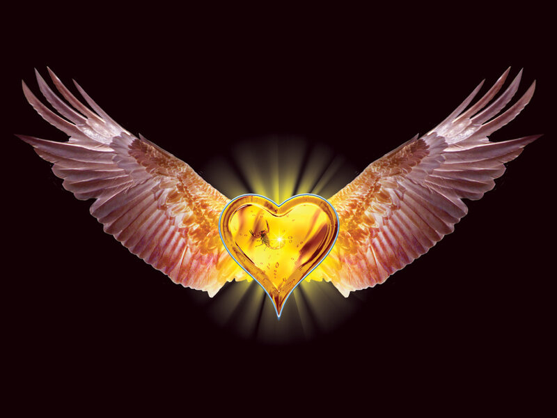 angel wings with golden heart