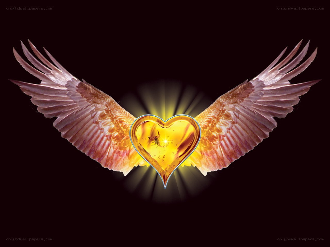 angel wings with golden heart