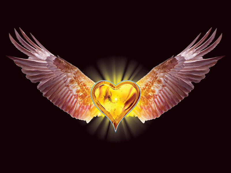 angel wings with golden heart