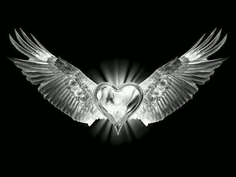 angel wings with heart