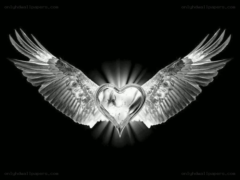 angel wings with heart