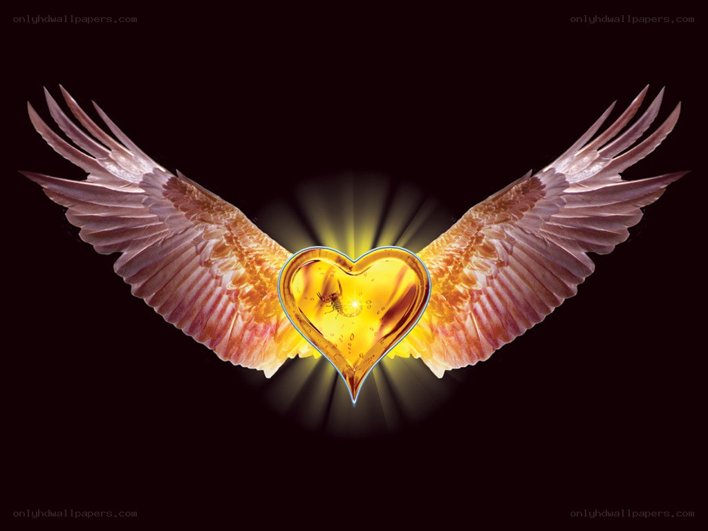 angel wings with heart