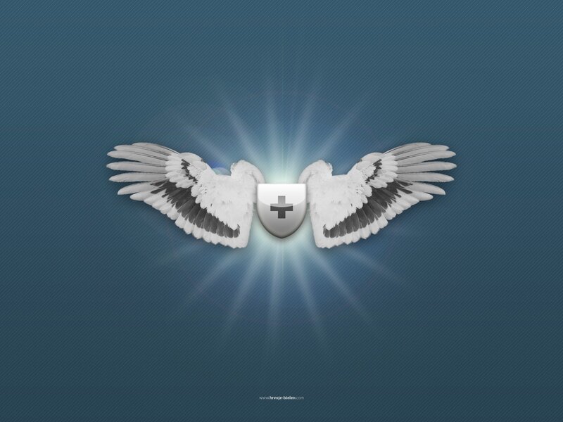 Angel wings with shield