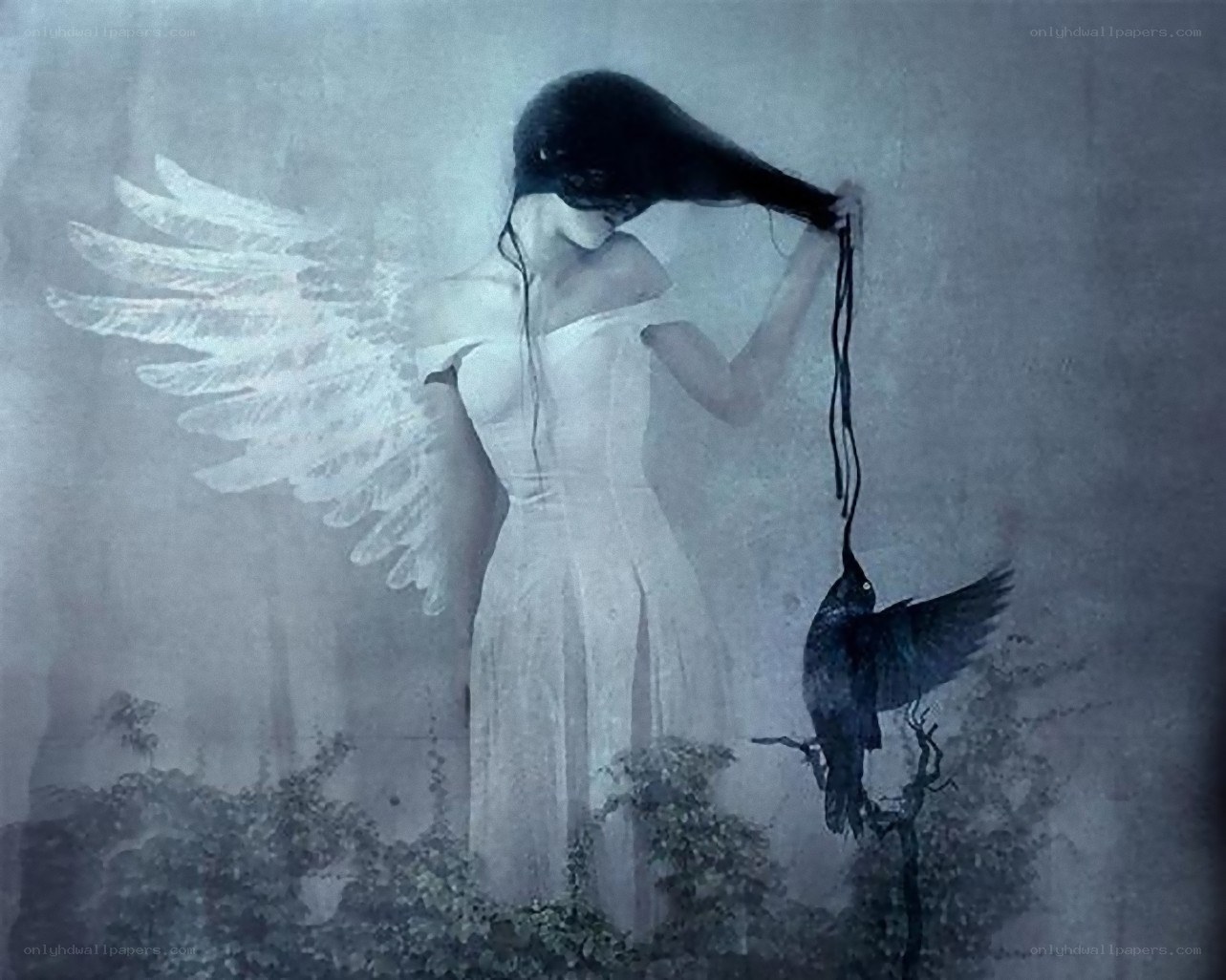 Angel with a crow