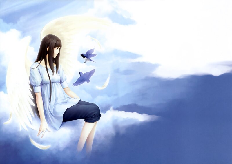 Angel with birds in the sky