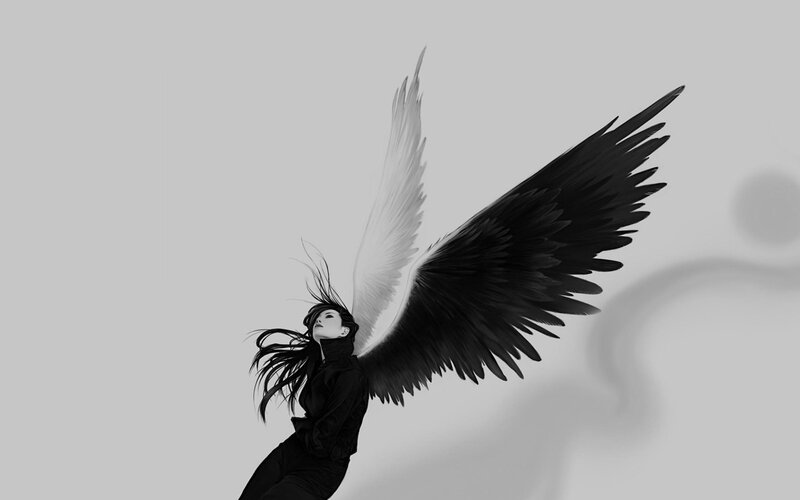 angel with black and white wings