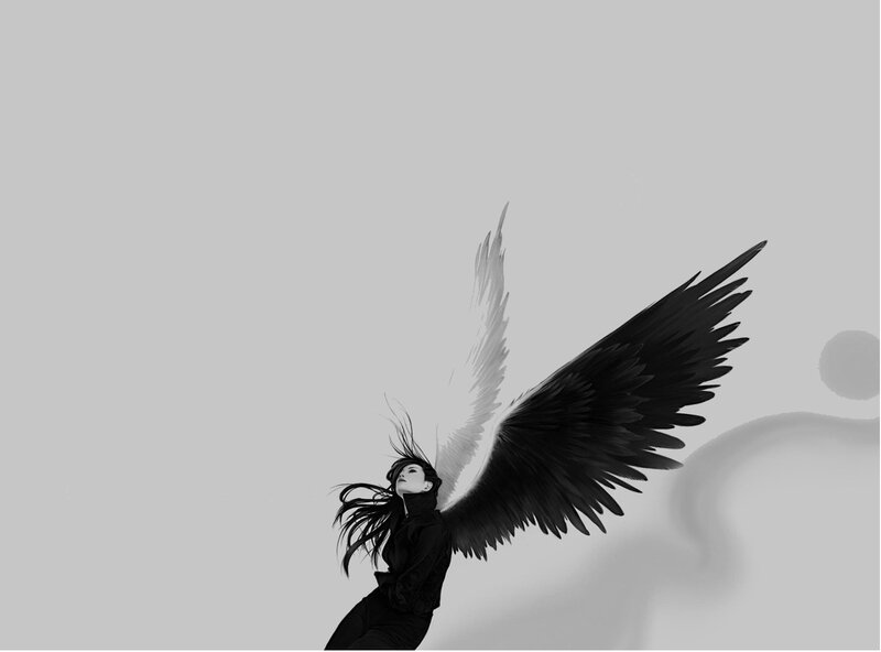 angel with black and white wings