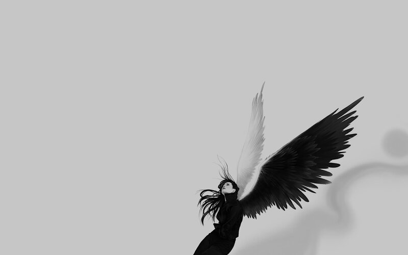 angel with black and white wings