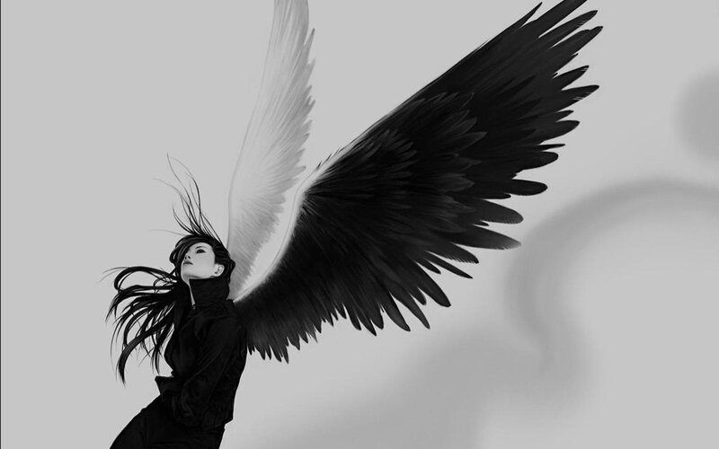 angel with black and white wings
