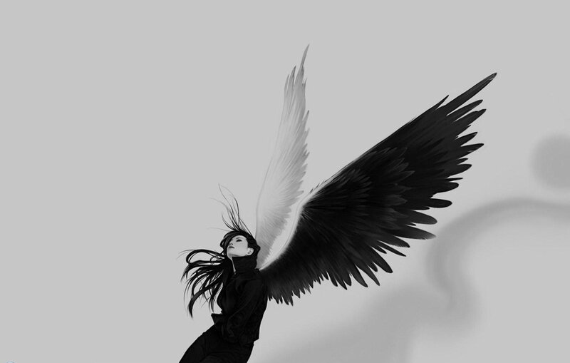 angel with black and white wings