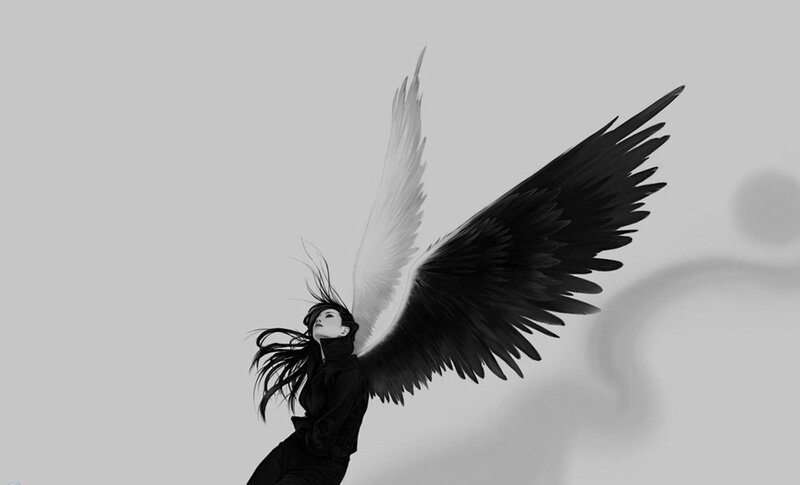 angel with black and white wings