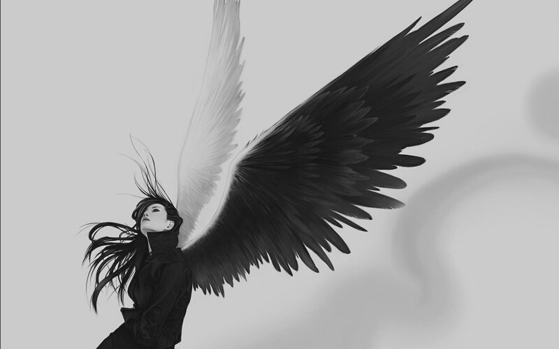 angel with black and white wings