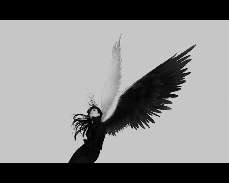 angel with black and white wings