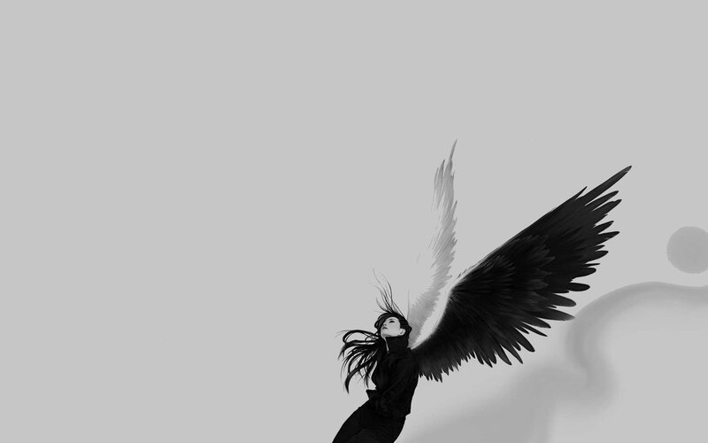 angel with black and white wings