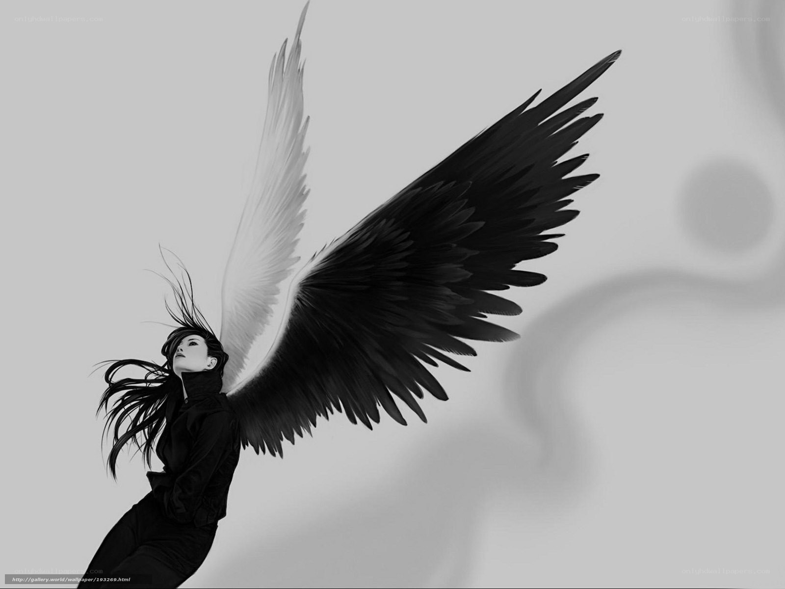 angel with black and white wings