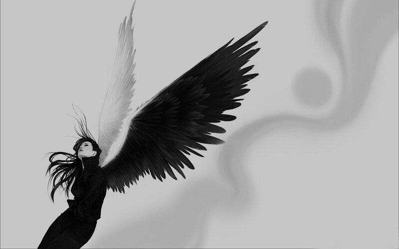 angel with black and white wings