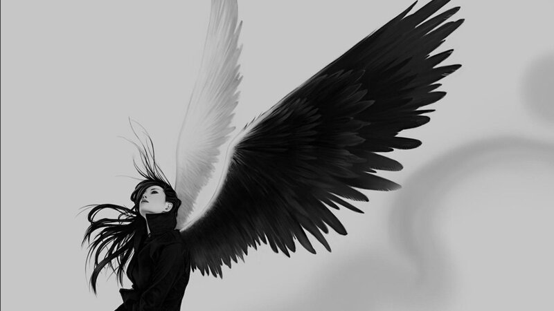 angel with black and white wings