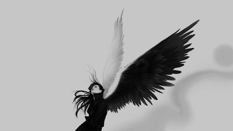 angel with black and white wings