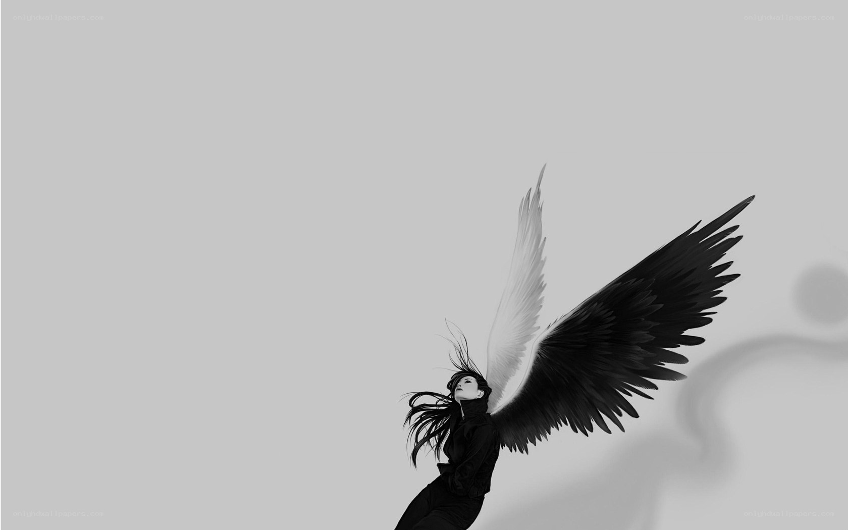 angel with black and white wings