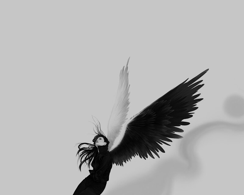 angel with black and white wings
